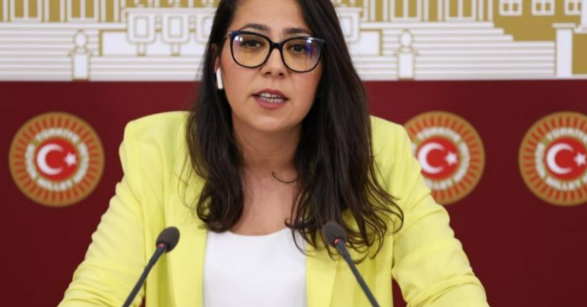 Türkiye İşçi Partisi Milletvekili Saliha Sera Kadıgil Sütlü Biyografisi